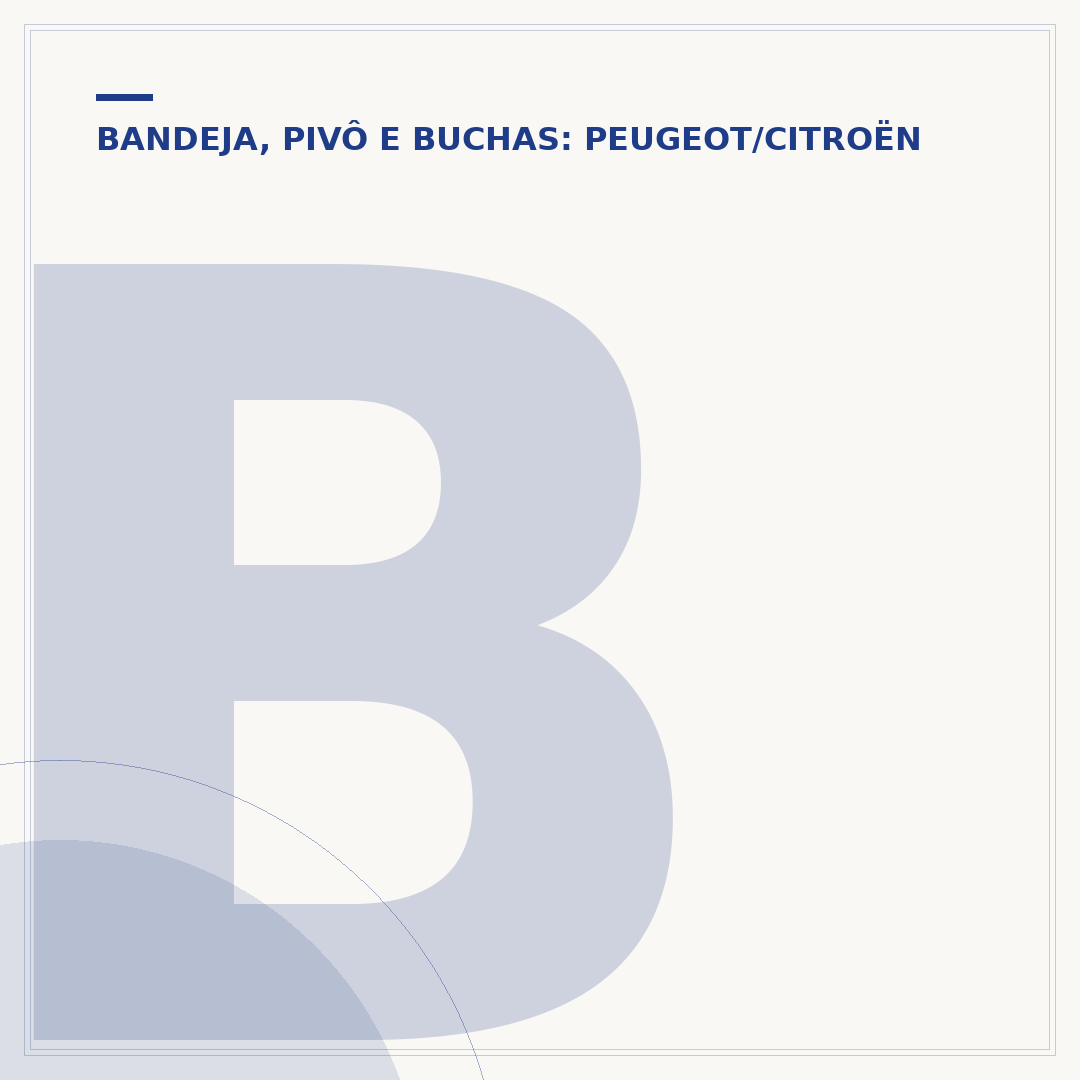 Bucha do eixo traseiro do Peugeot 207