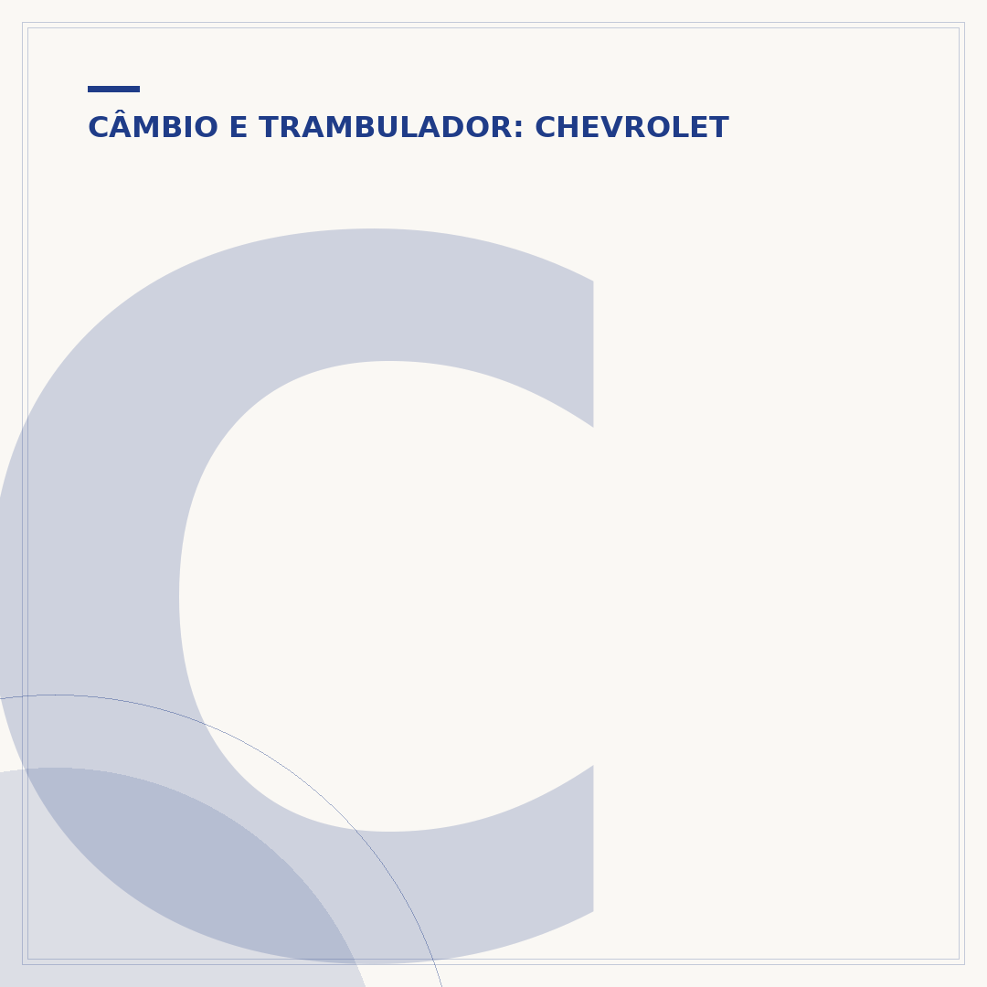 Coxim do câmbio da Spin