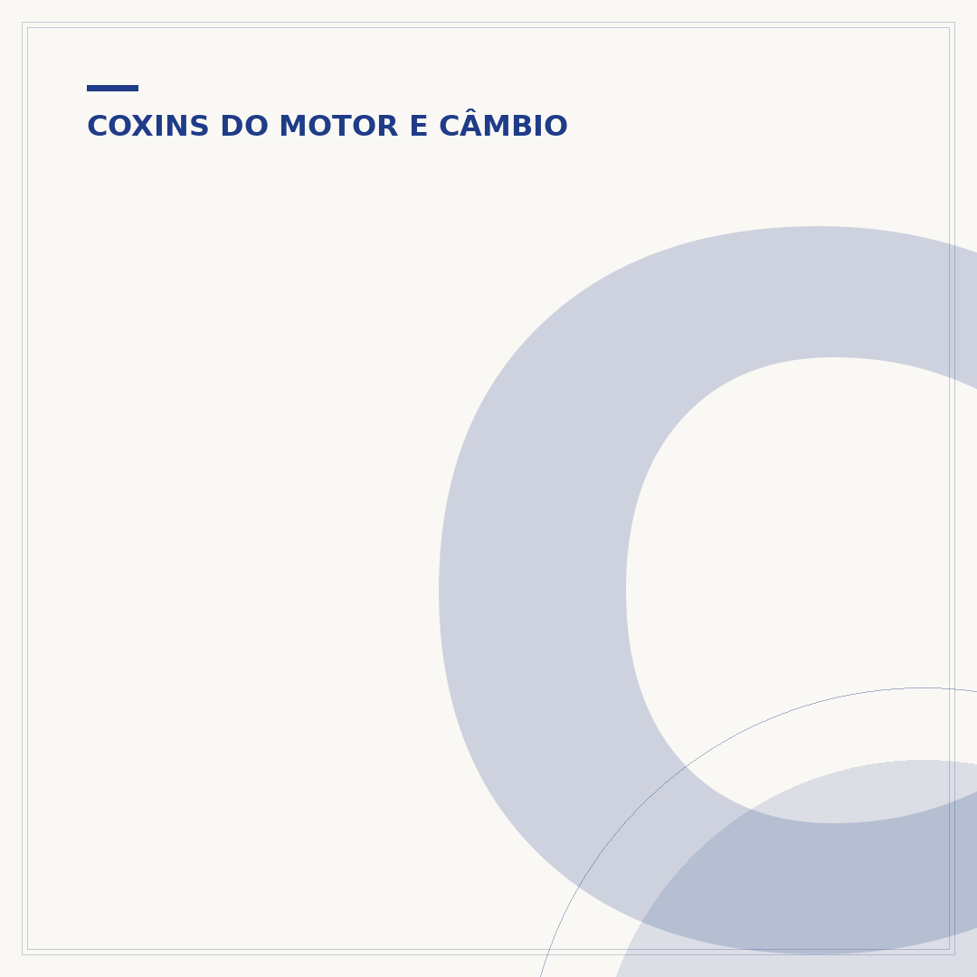 Coxim frontal motor AP: função, troca e cuidados