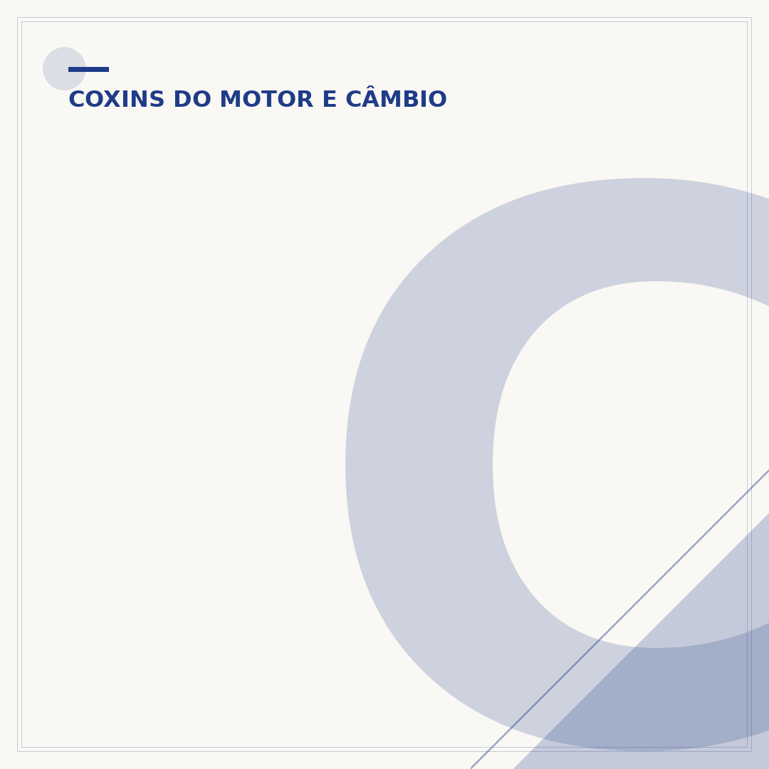Coxim motor Fire: o que é e sua importância