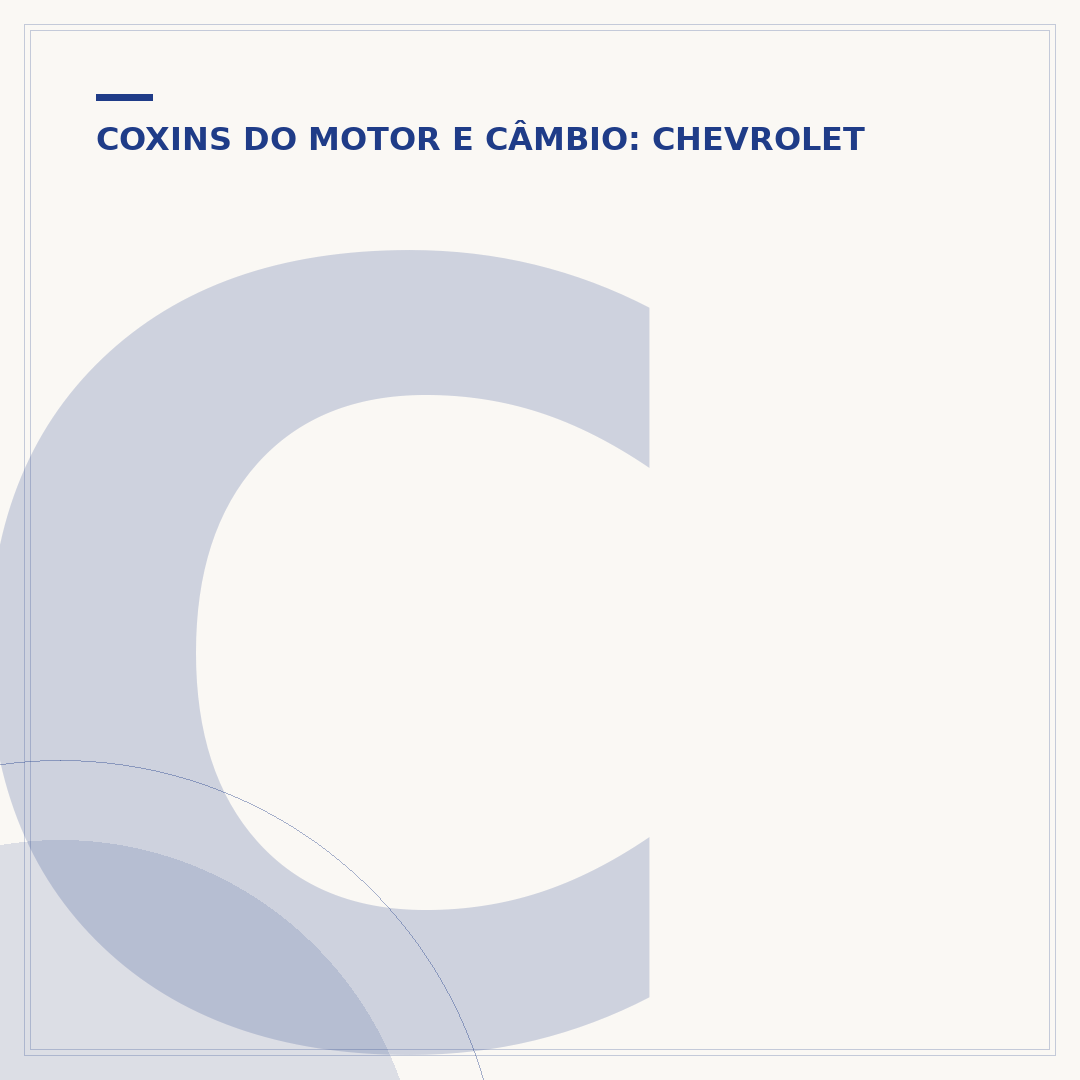 Coxim do motor do Vectra