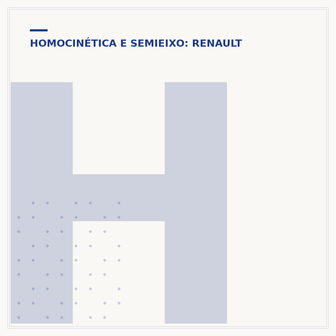 Homocinetica Clio: o que é e como identificar problemas