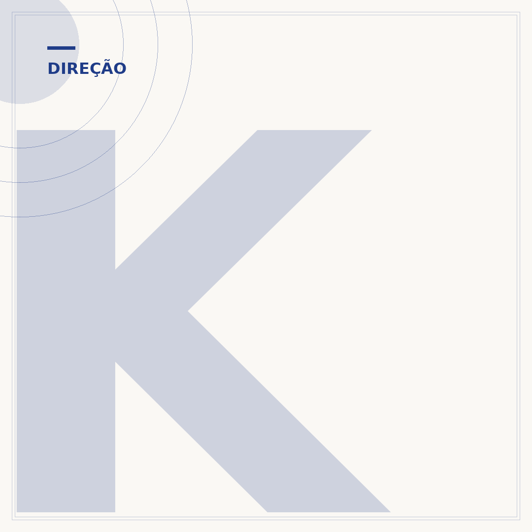 Kit de reparo da caixa de direção hidráulica: componentes