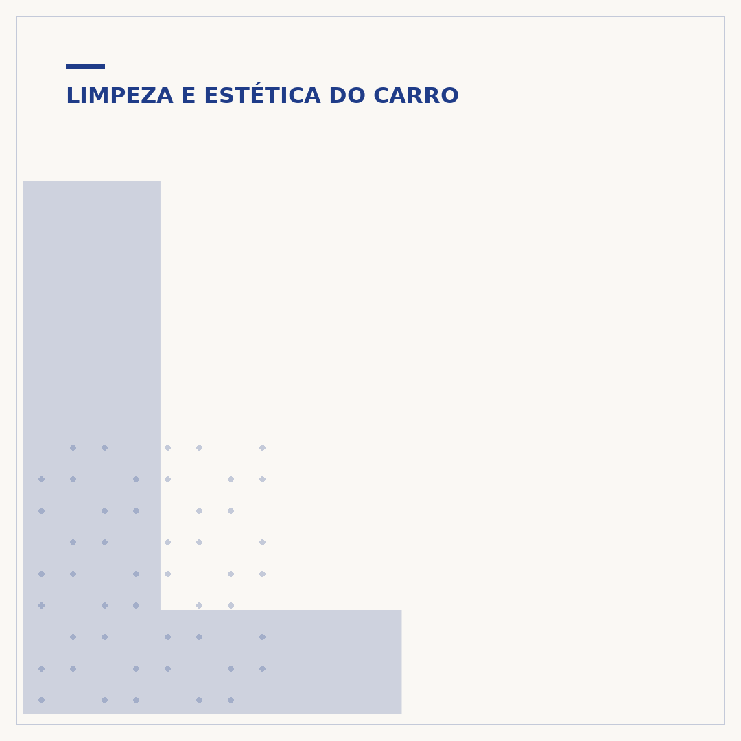Lavar carro com Vonixx