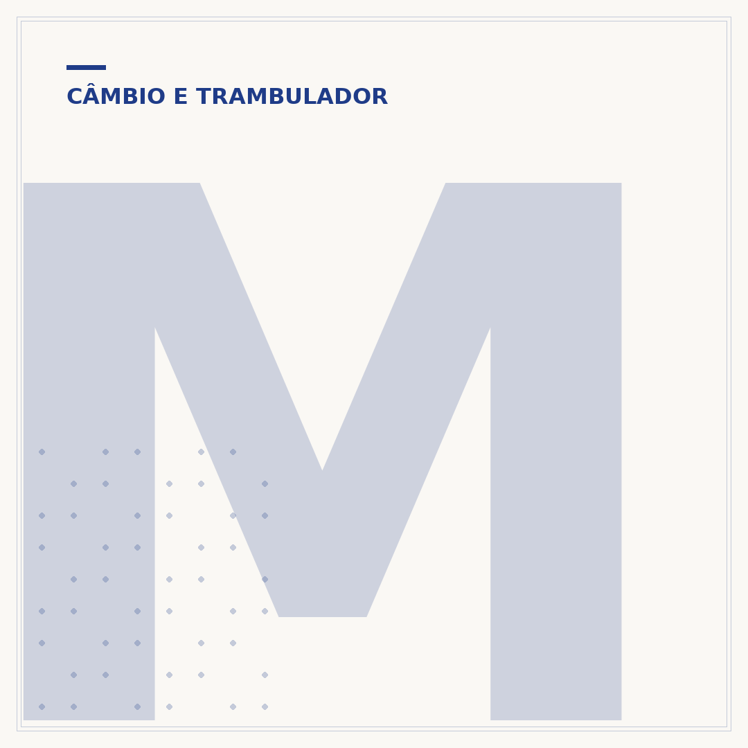 Manopla de cambio esportiva: dirigibilidade e estilo
