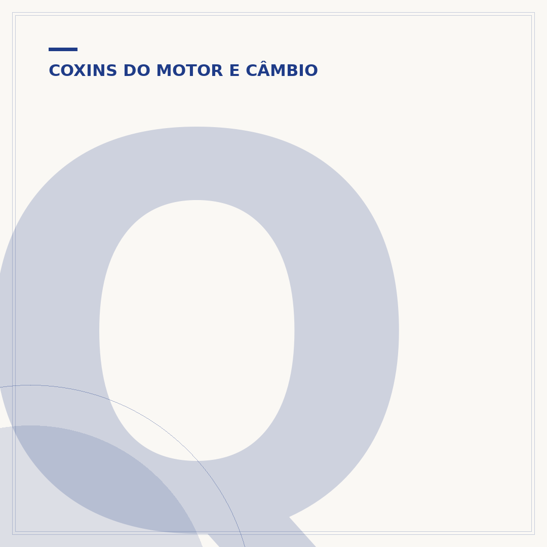 Quantos coxins tem um carro? Motor, câmbio e suspensão