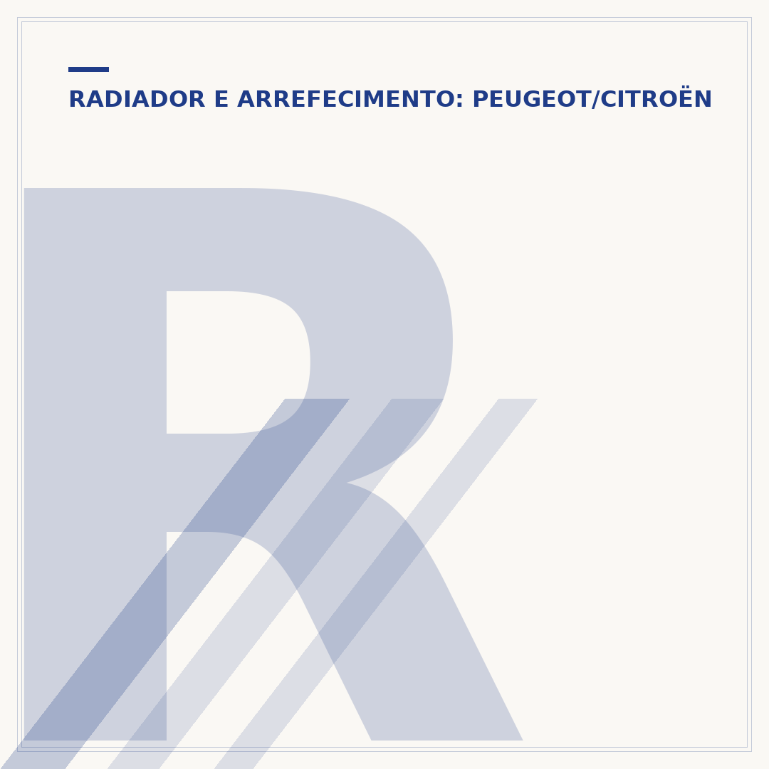 Reservatório do Peugeot 206