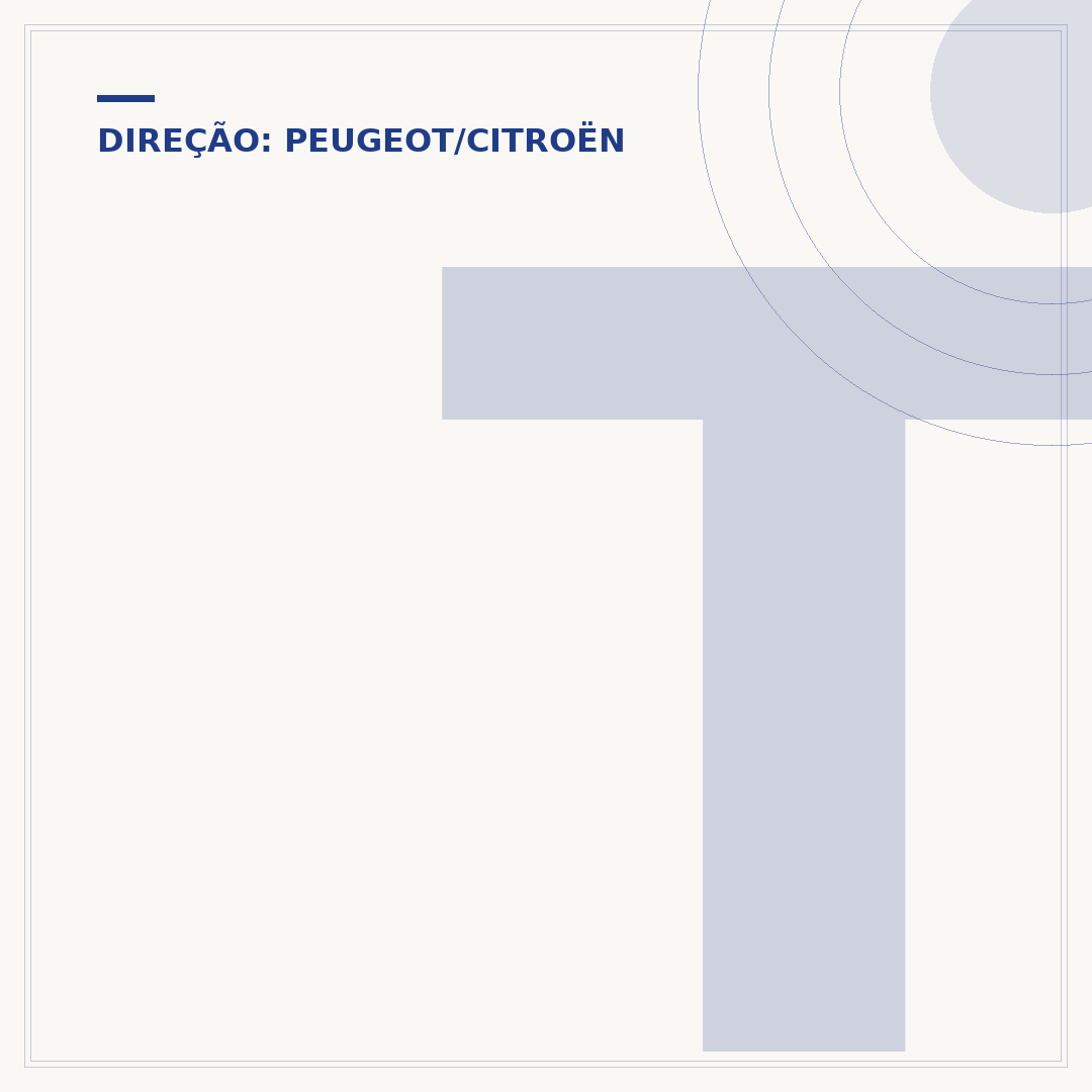 Terminal de direção Peugeot 206: o que é e quando trocar