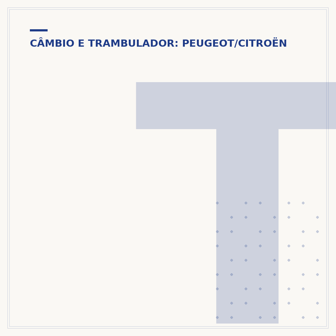 Trambulador do Peugeot 207