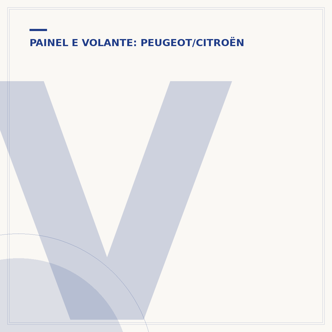 Volante Peugeot 307: troca, problemas e cuidados