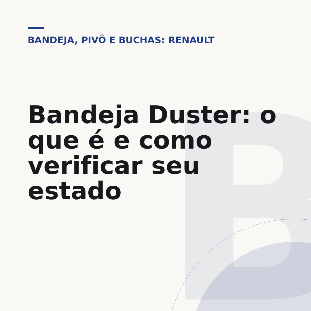 Bandeja Duster: o que é e como verificar seu estado