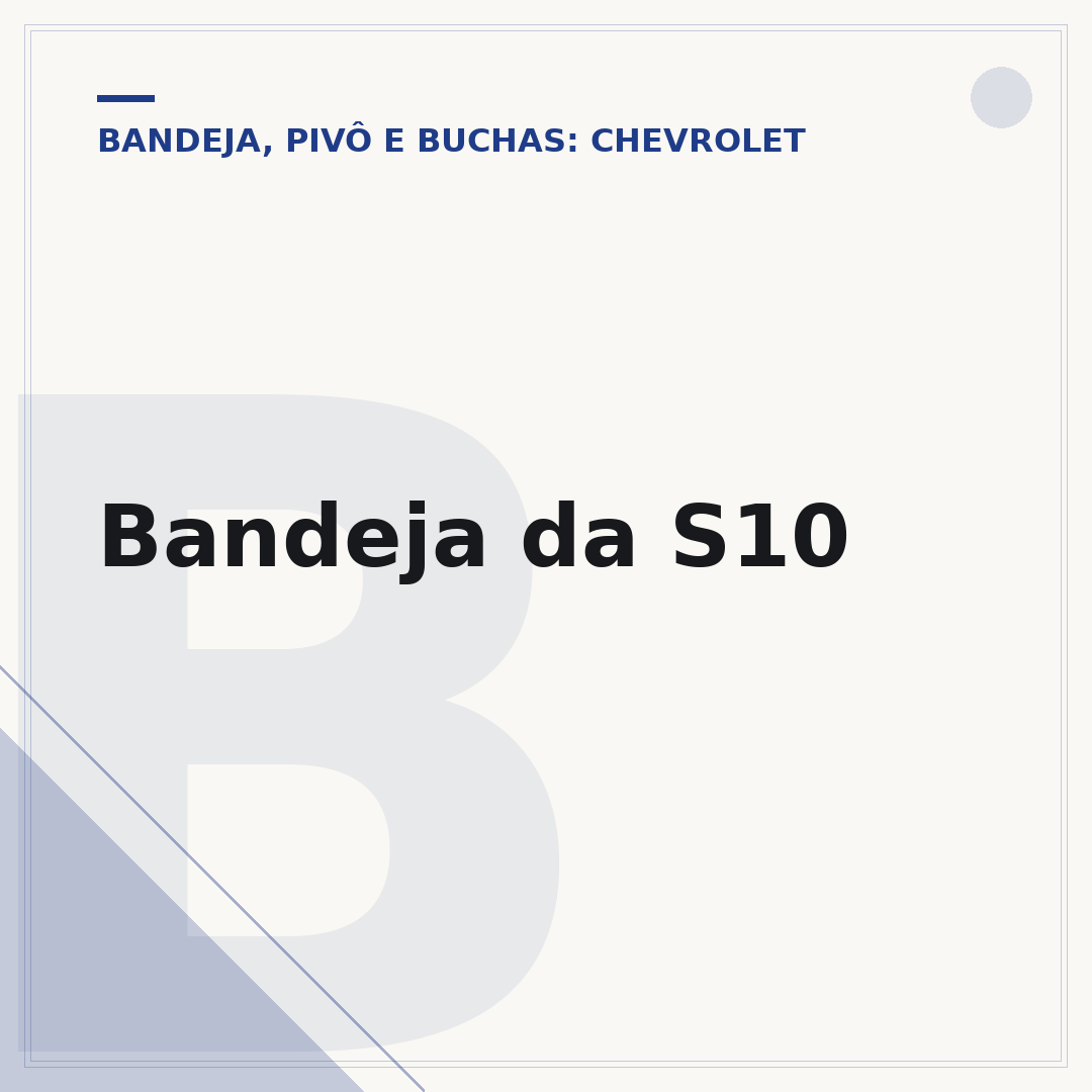 Bandeja da S10