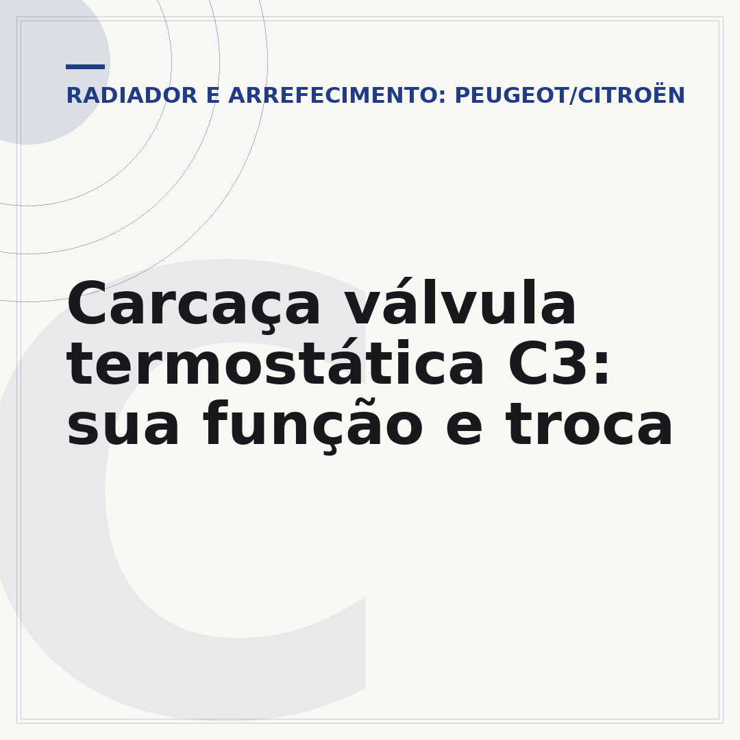 Carcaça válvula termostática C3: sua função e troca