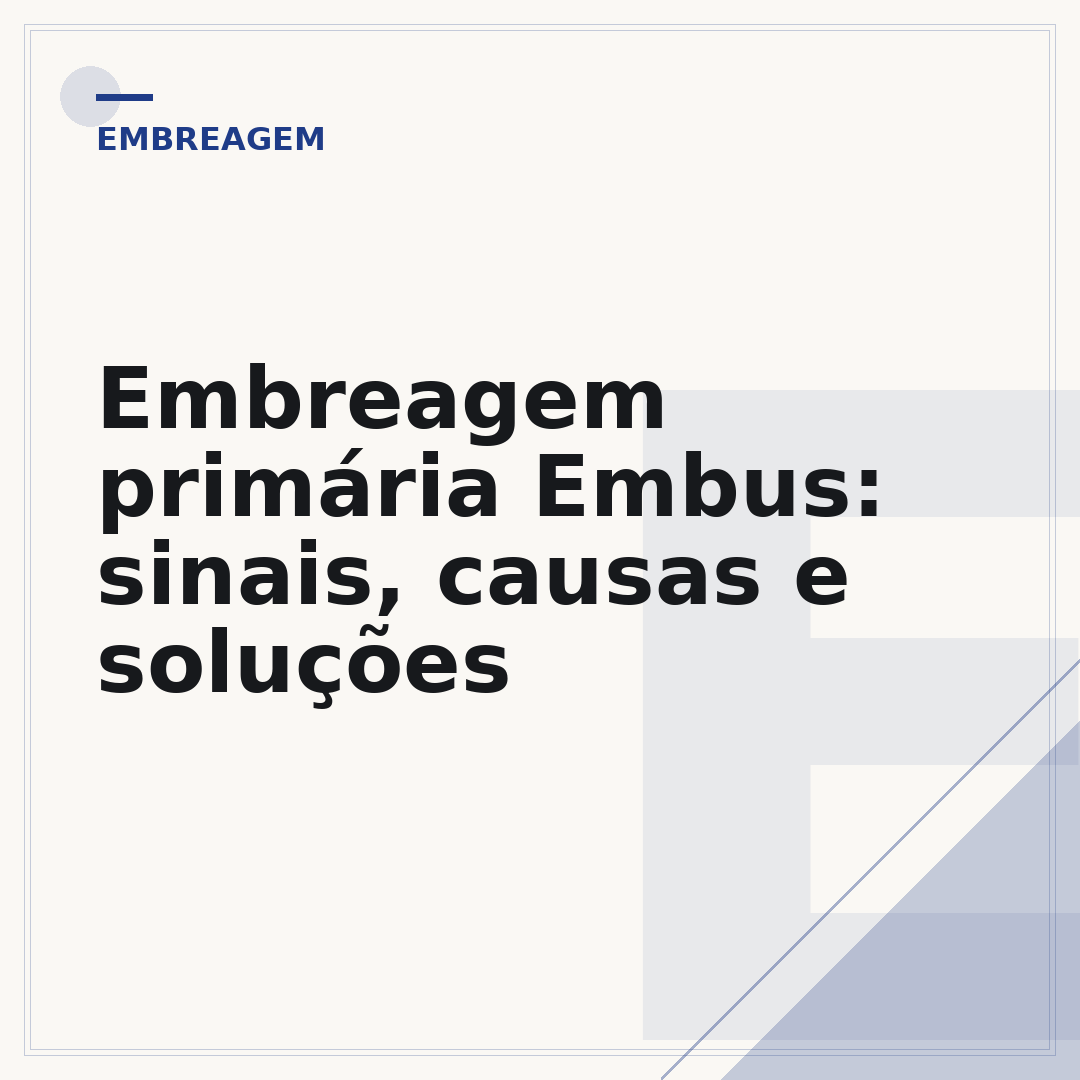Embreagem primária Embus: sinais, causas e soluções