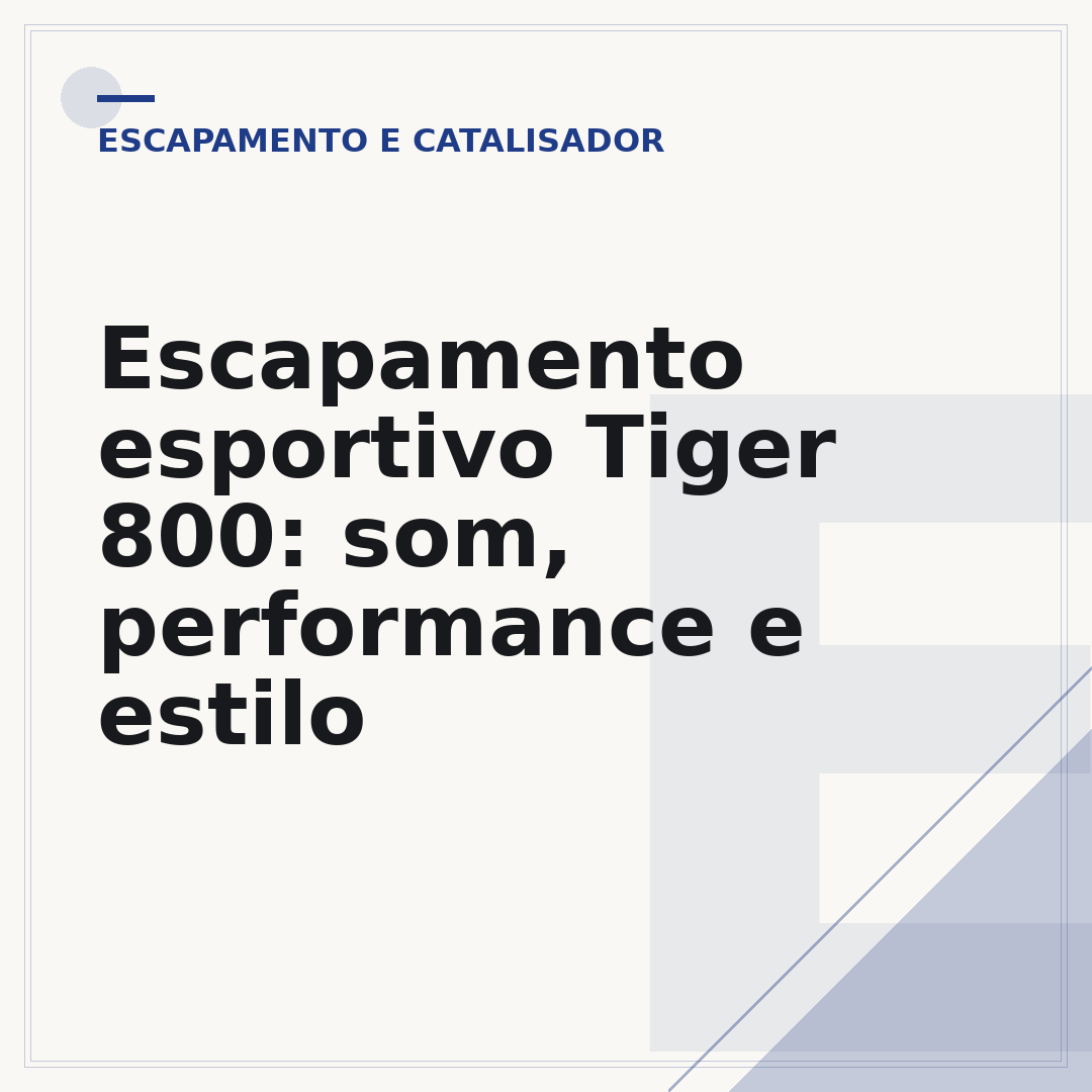 Escapamento esportivo Tiger 800: som, performance e estilo
