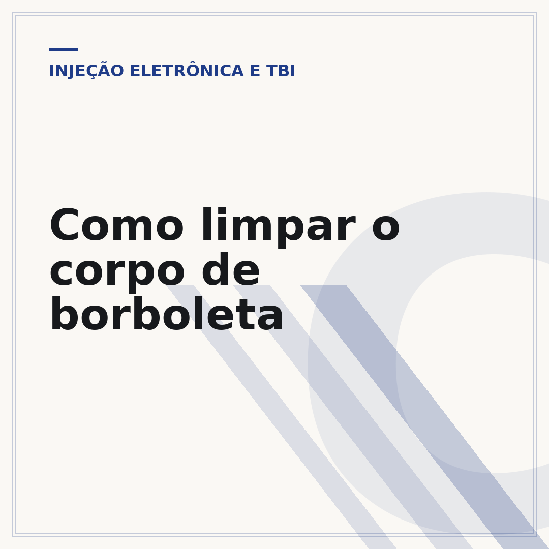 Como limpar o corpo de borboleta