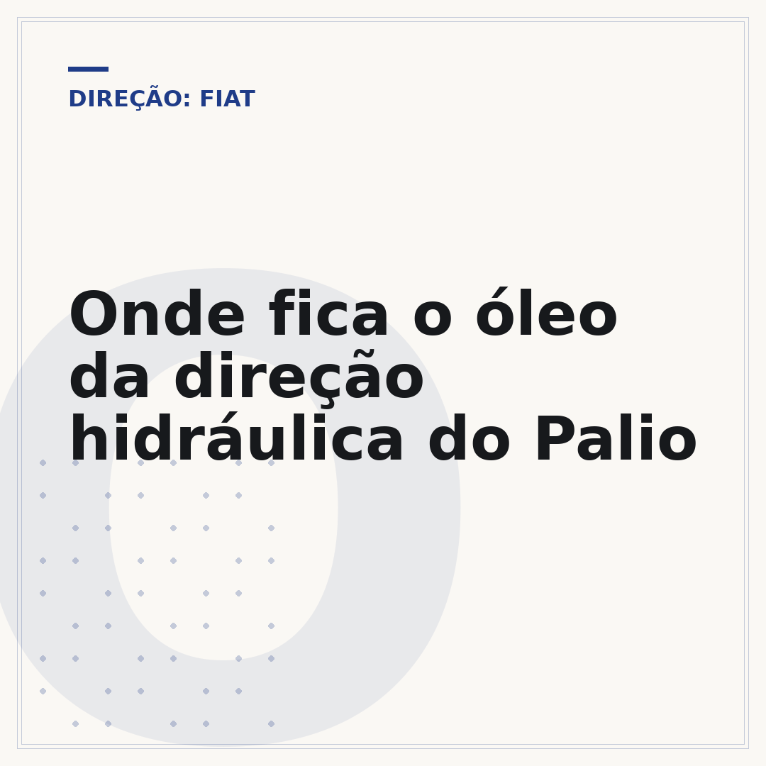 Onde fica o óleo da direção hidráulica do Palio