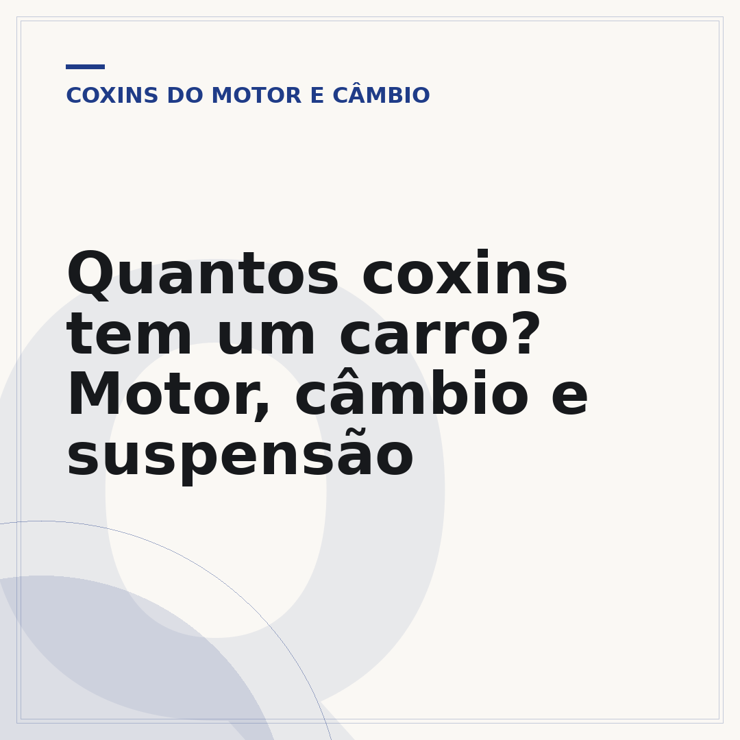 Quantos coxins tem um carro? Motor, câmbio e suspensão