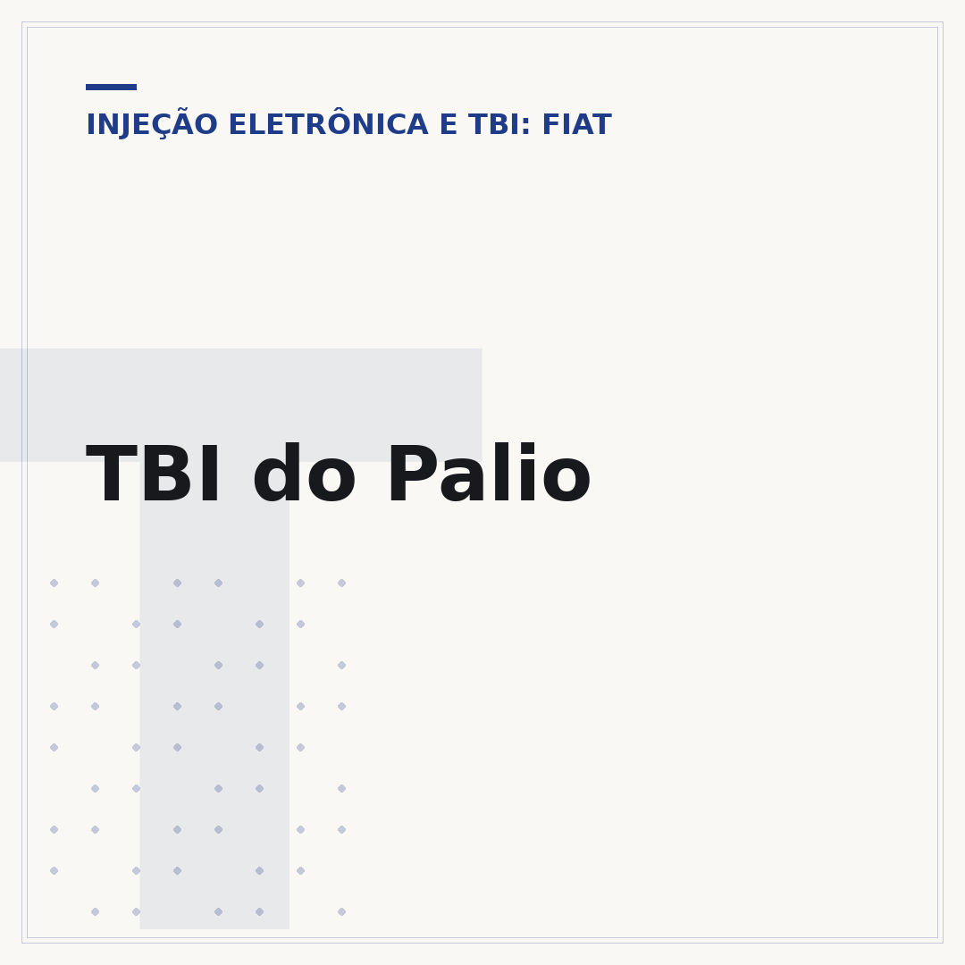 TBI do Palio