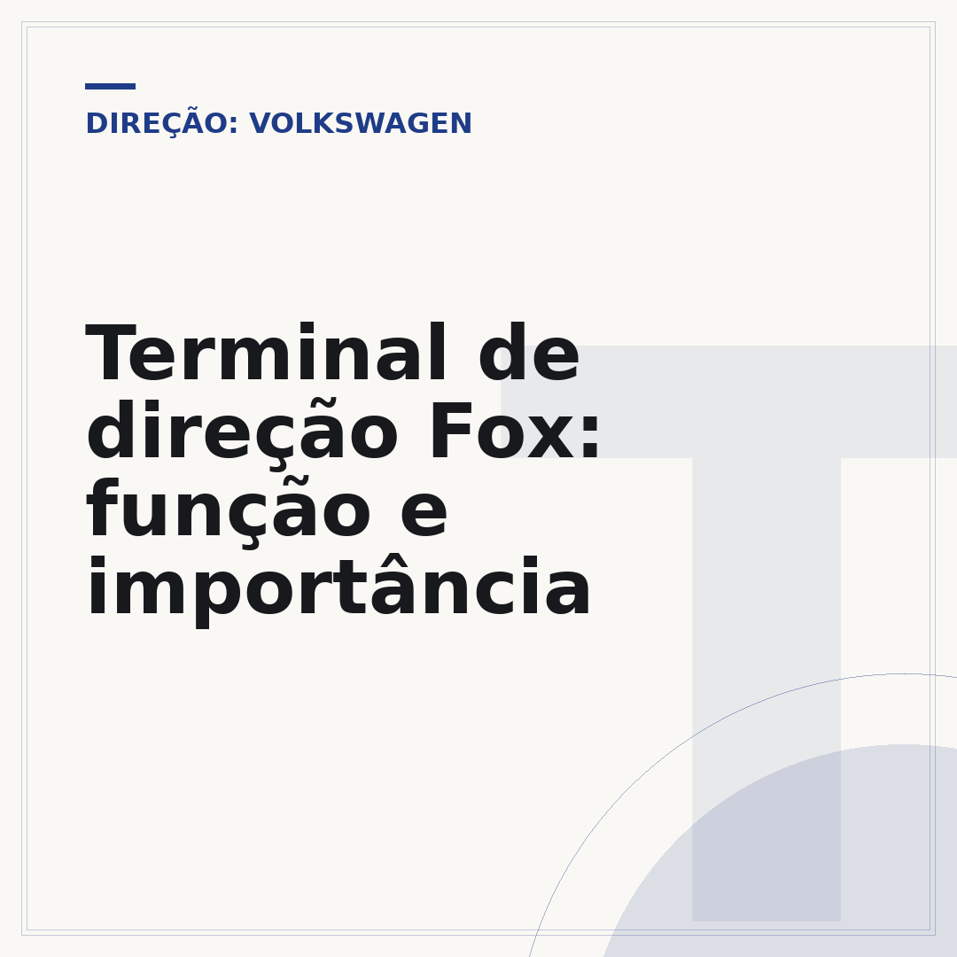 Terminal de direção Fox: função e importância